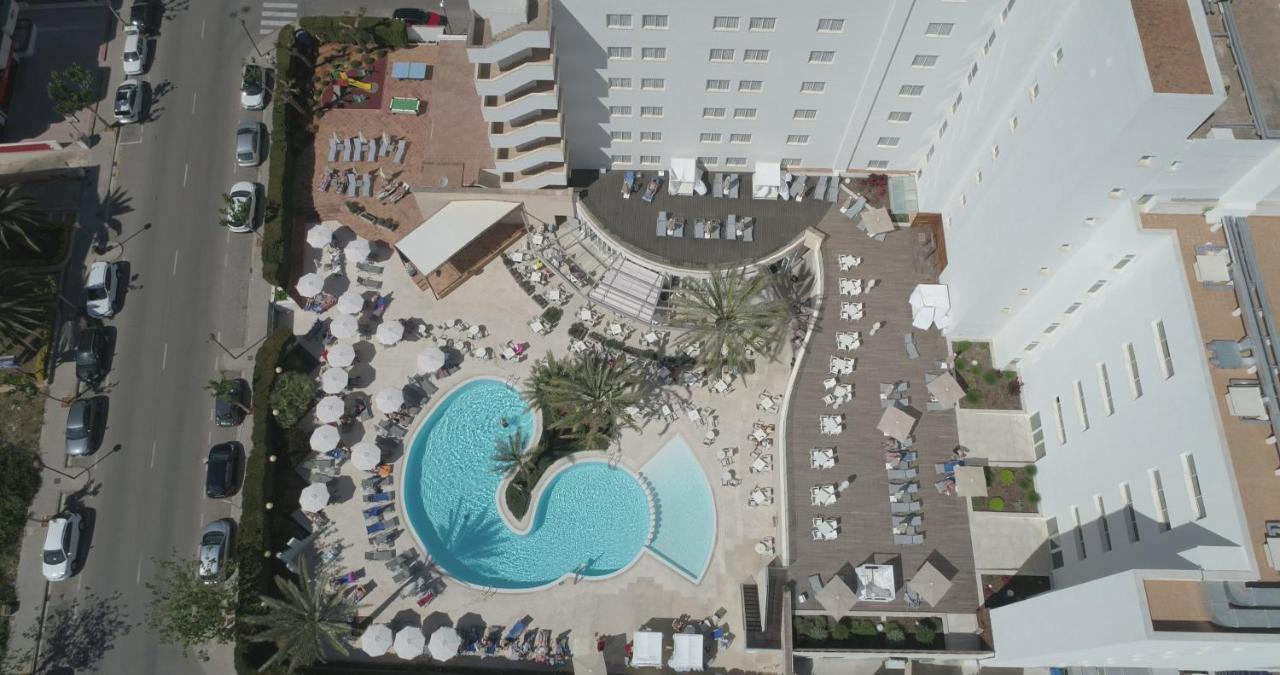 Girasol Cala Millor (Mallorca)