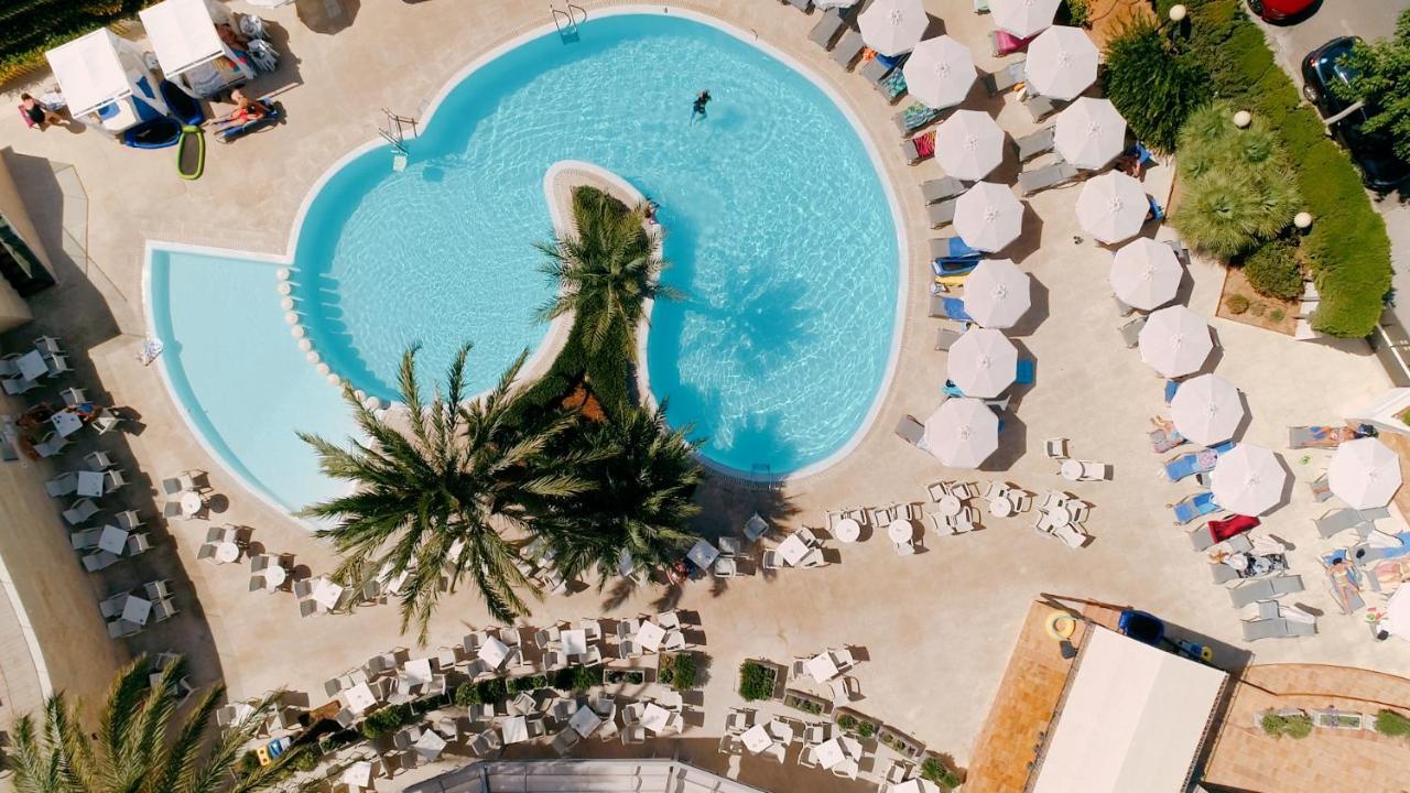 Girasol Cala Millor (Mallorca)